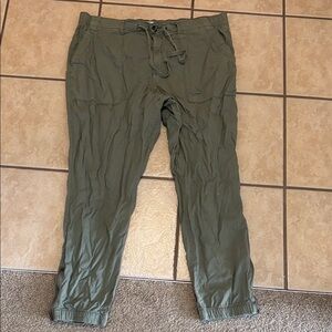 Sonoma Olive Green Casual Pants